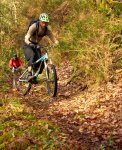 _DSC0020.jpg