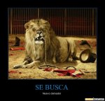 2205_se-busca.jpg