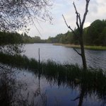 Pantano.JPG
