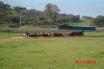 CIMG0743_6.JPG