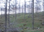 mtb diciembre 017 (Copiar).JPG