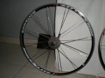 DSCN3322.JPG