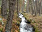 DSCF0901.JPG