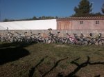 jk011.jpg