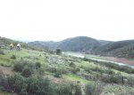 DSCF3694.jpg