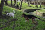 DSC_0841.JPG