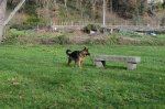 DSC_0845.JPG