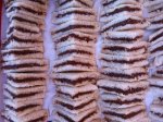sandwich_de_nocilla.jpg