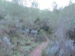 IMG_3490 (Copiar).JPG