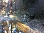 img1357vw.jpg