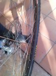 IMG_20121230_150511.jpg