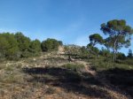 CIMG3858 (Copiar).JPG