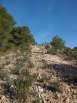 CIMG3860 (Copiar).JPG