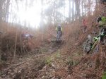 IMG_2282.JPG