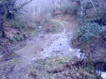 DSC07488.JPG