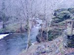 DSC07495.JPG