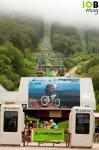 telesilla_niebla-464x700.jpg