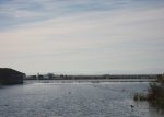 Cullera 15.jpg