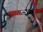 rojo 009.jpg