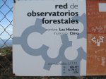 IMG_3535 (Copiar).JPG