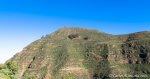 IMG_6251.jpg