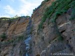 IMG_6297.jpg