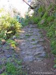 IMG_6317.jpg