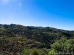 IMG_6319.jpg