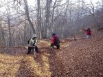 DSC00166.jpg