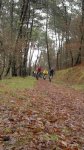 IMG-20121231-WA0005.jpg