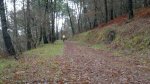 IMG-20121231-WA0008.jpg