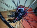 foromtb3.jpg