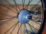 foromtb5.jpg