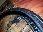 foromtb6.jpg