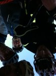 IMG-20121223-WA007.jpg
