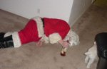 4122_despierta[1].jpg