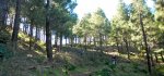 DSCN4186.jpg