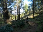 DSCN4192.jpg