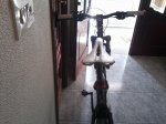 Foto0010.jpg