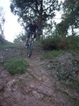 IMGP3458_foro.JPG