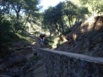 IMGP3475_foro.JPG