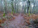 IMG-20121230-WA0006.jpg