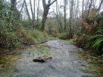 IMG-20121230-WA0009.jpg
