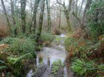 IMG-20121230-WA0010.jpg