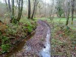 IMG-20121230-WA0012.jpg