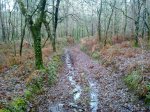 IMG-20121230-WA0013.jpg