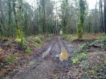 IMG-20121230-WA0014.jpg