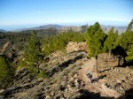 DSCN4163.jpg