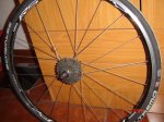 DSC02718.JPG