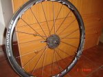 DSC02719.JPG